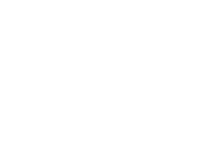 The University of Alabama